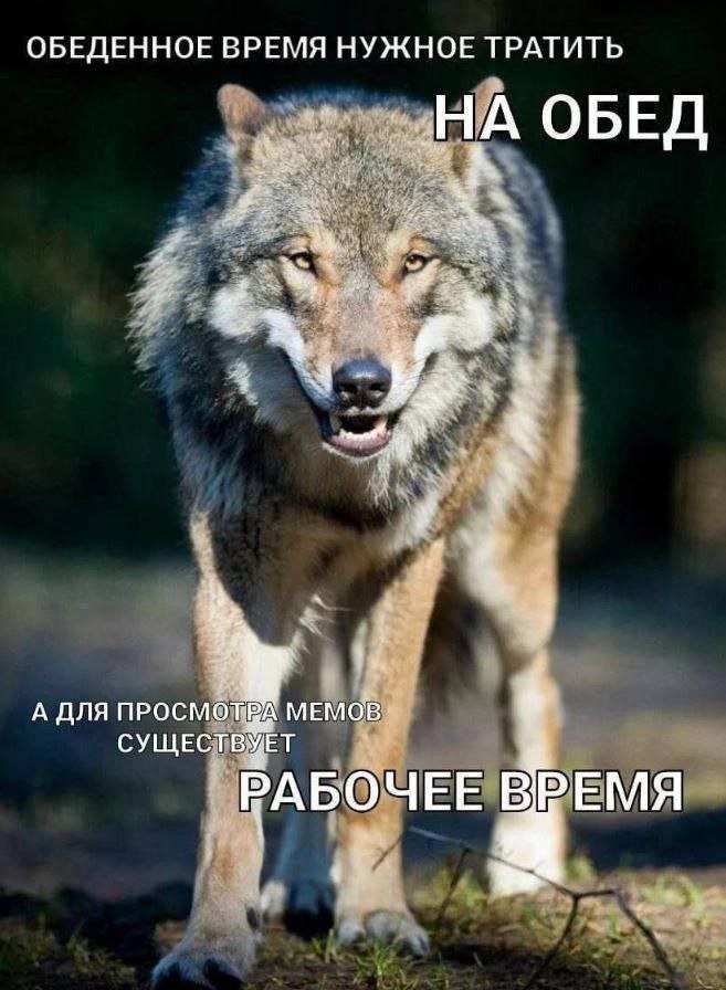 ОБЕДЕННОЕ ВРЕМЯ НУЖНОЕ ТРАТИТЬ ОБЕД a i А ДЛЯ ПРОСМОТРА МЕМОВ$ СУЩЕСТВУЕТ a, у РАБОЧЕЕ ВРЕМЯ А