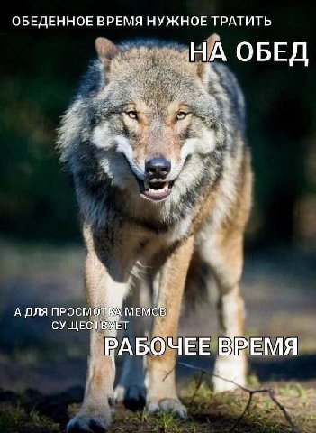 ОБЕДЕННОЕ ВРЕМЯ НУЖНОЕ ТРАТИТЬ ОБЕД a i А ДЛЯ ПРОСМОТРА МЕМОВ$ СУЩЕСТВУЕТ a, у РАБОЧЕЕ ВРЕМЯ А