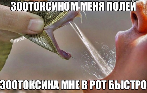 ПОЛЕИ МНЕВ РОТ БЫСТРО