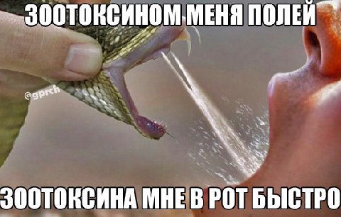 ПОЛЕИ МНЕВ РОТ БЫСТРО