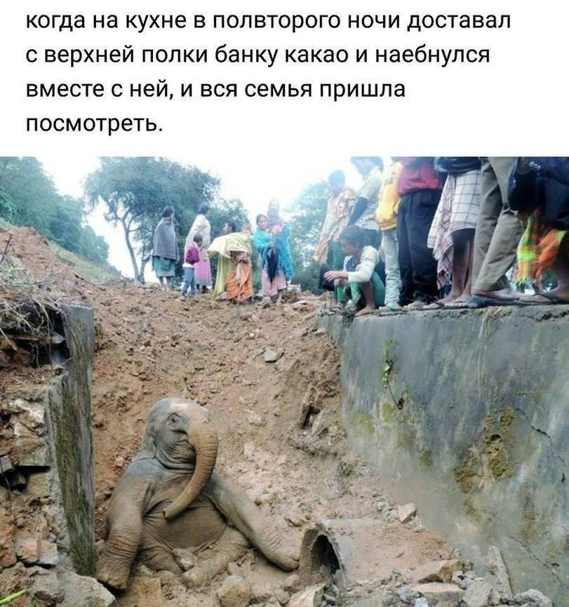 когда на кухне в полвторого ночи доставал с верхней полки банку какао и наебнулся вместе с ней, и вся семья пришла посмотреть.