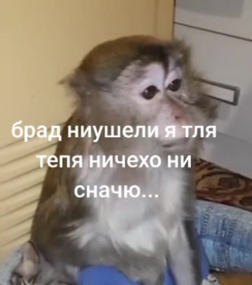 брад ниушели я тля тепя ничехо ни сначю...