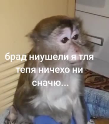 брад ниушели я тля тепя ничехо ни сначю...