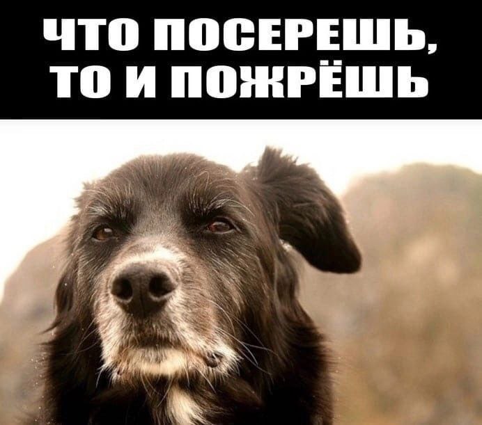 ЧТО ПОСЕРЕШЬ, ТО И ПОЖРЕШЬ