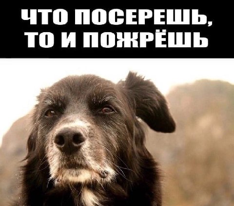 ЧТО ПОСЕРЕШЬ, ТО И ПОЖРЕШЬ