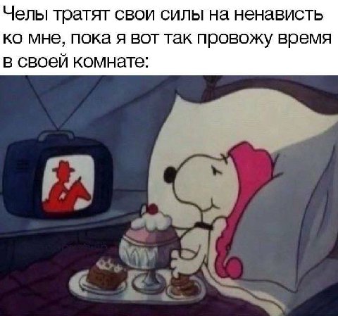 Челы тратят свои силы на ненависть мне, пока я вот так провожу время в своей комнате: