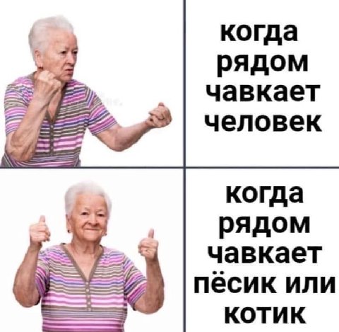 когда рядом чавкает человек когда fod рядом чавкает песик или КОТИК