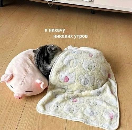 я нихачу никаких утров 4 а, у 4 7