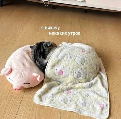 я нихачу никаких утров 4 а, у 4 7
