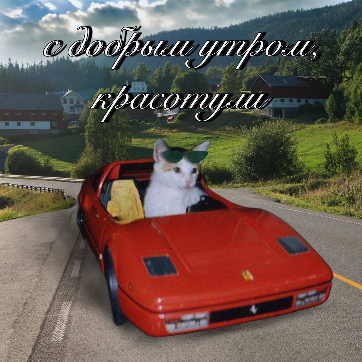 С