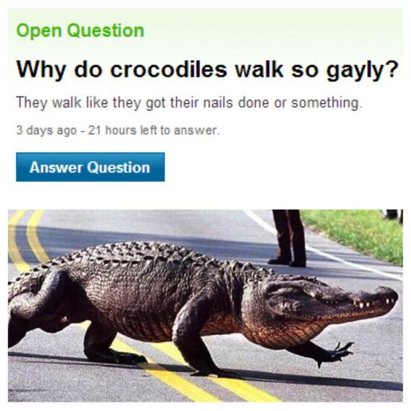 Open Question Why crocodiles walk so gayly? They walk like they got their nails done or something 3 days ago 21 hours left to answe A