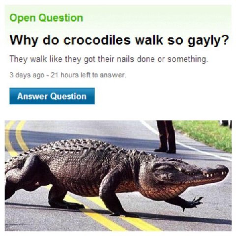 Open Question Why crocodiles walk so gayly? They walk like they got their nails done or something 3 days ago 21 hours left to answe A