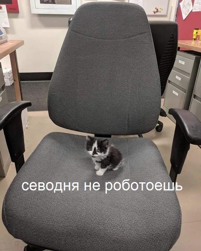 севодня не роботоешь