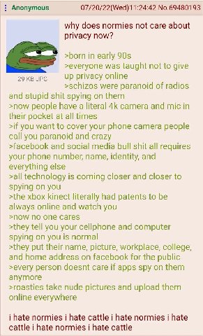 Anonymous 07/20/22(Wed)11:24:42 No.69480193 why does normies not care about privacy now? >born in early >everyone was taught not to give 29 JPG up privacy online >schizos were paranoid of radios and s