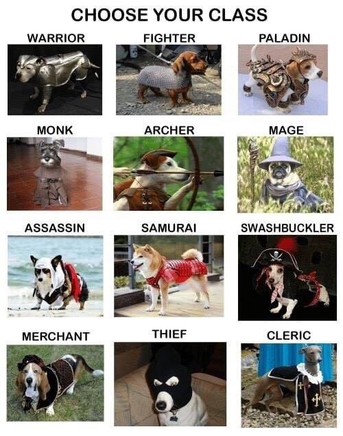 CHOOSE YOUR CLASS WARRIOR FIGHTER _PALADIN a> MONK ARCHER MAGE 221 ASSASSIN SAMURAI SWASHBUCKLER THIEF CLERIC A