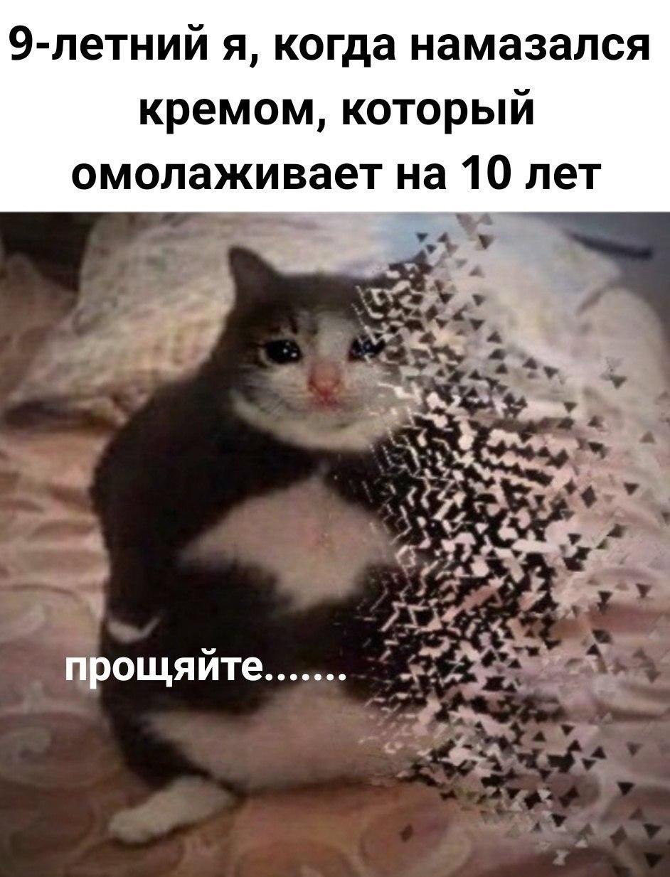 9-летний я, когда намазался кремом, который омолаживает на 10 лет прощяйте