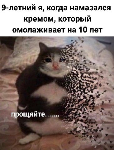 9-летний я, когда намазался кремом, который омолаживает на 10 лет прощяйте