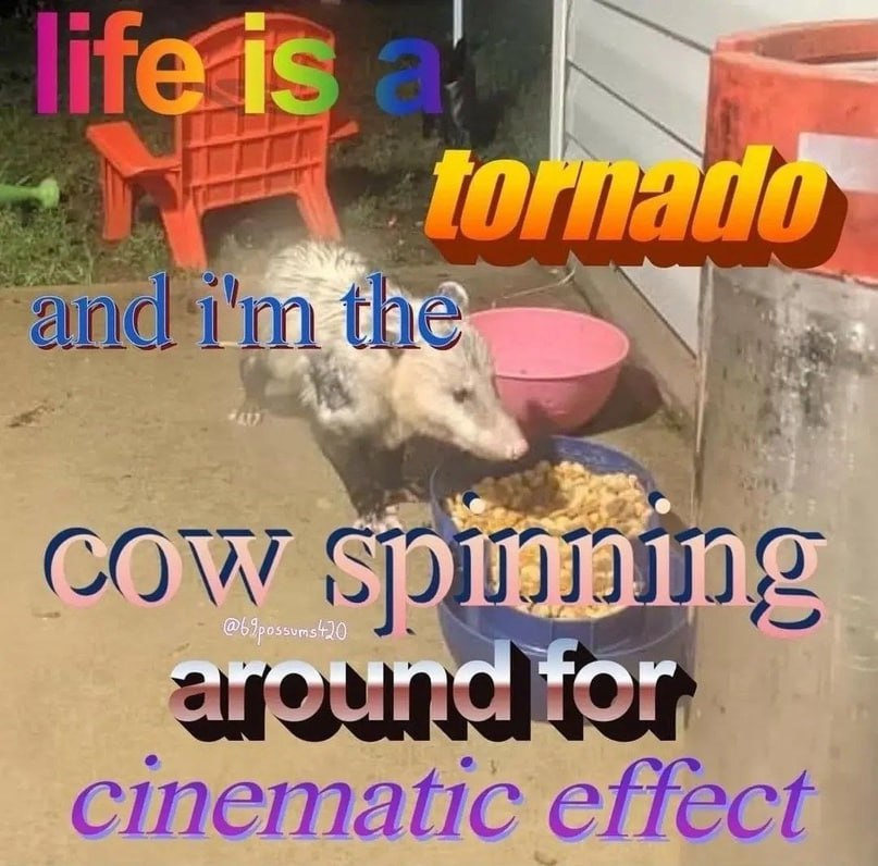 я cow 7 tar a we 4