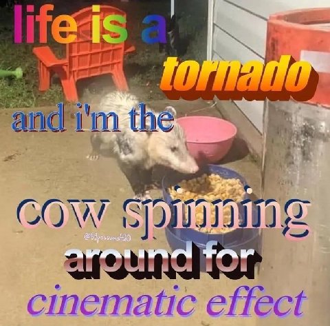 я cow 7 tar a we 4