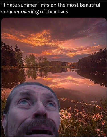 hate summer” mfs the most beautiful summer evening of their lives