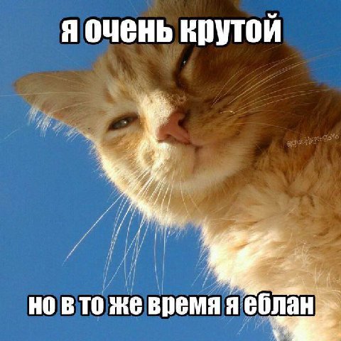 я очень крутой но вто же время я еблан