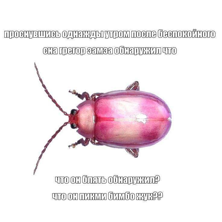 проснувшис