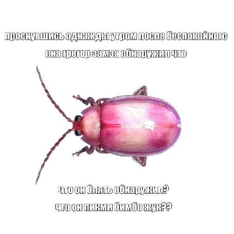 проснувшис