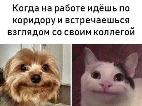 Когда на работе идёшь по встречаешься взглядом своим коллегой