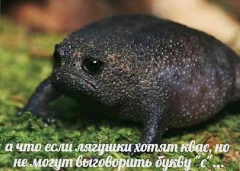 а что если хотят квас, но не могут выговорить букду "с"...