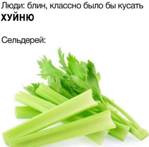 Люди: блин, классно было бы кусать ХУЙНЮ Сельдерей: A