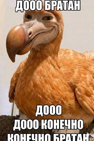 AN 000