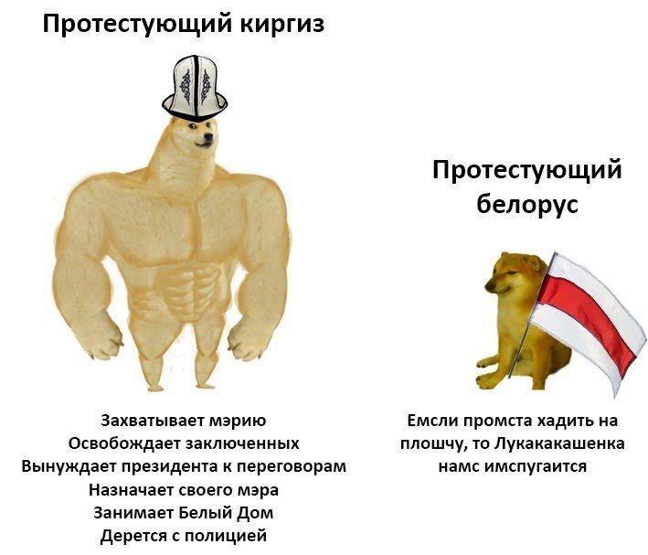 🇰🇬🇰🇬🇰🇬