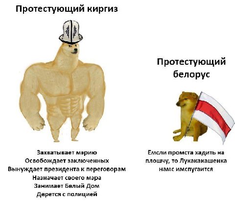 🇰🇬🇰🇬🇰🇬