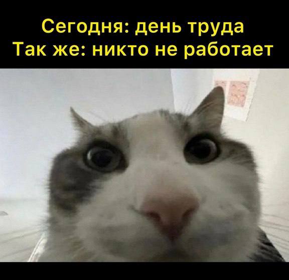 Сегодня: день труда Так же: никто не работает