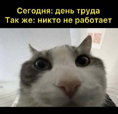 Сегодня: день труда Так же: никто не работает