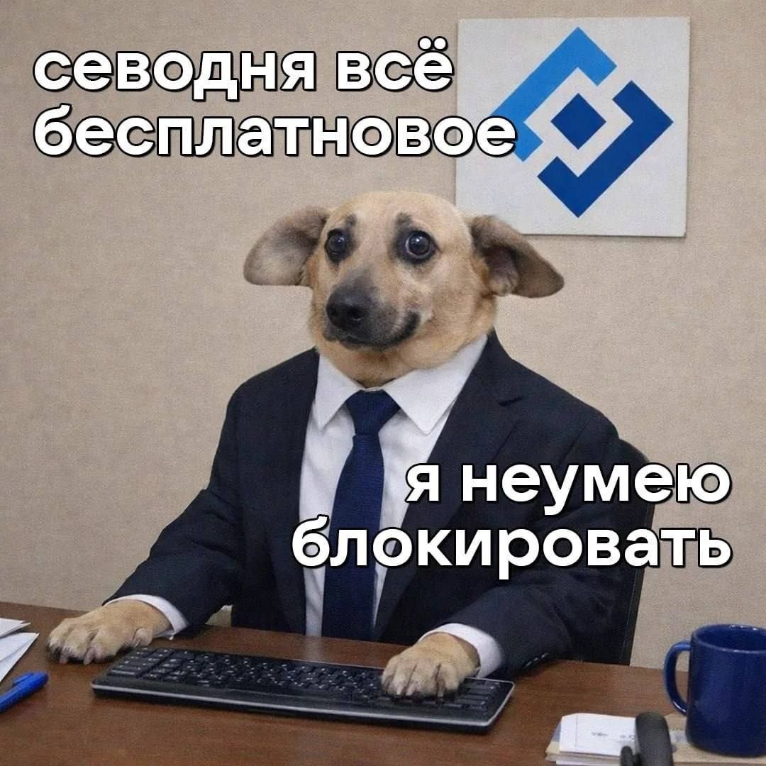 севодня все бесплатновое я неумею блоки ровать