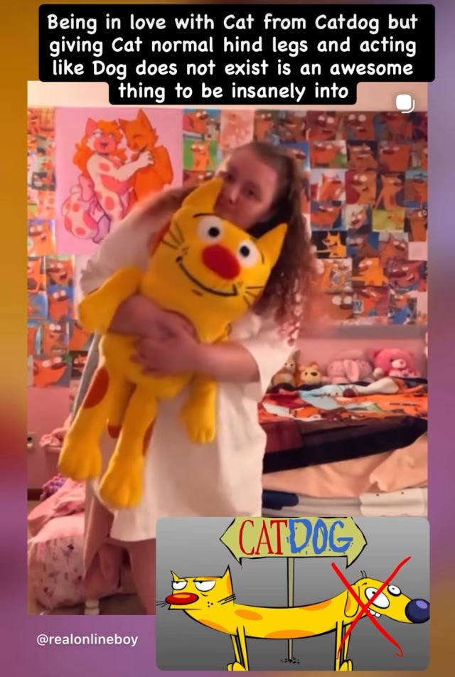 Being in love with Cat from Catdog but giving Cat normal hind legs and acting like Dog does not exist is an awesome thing to be insanely into @realonlineboy