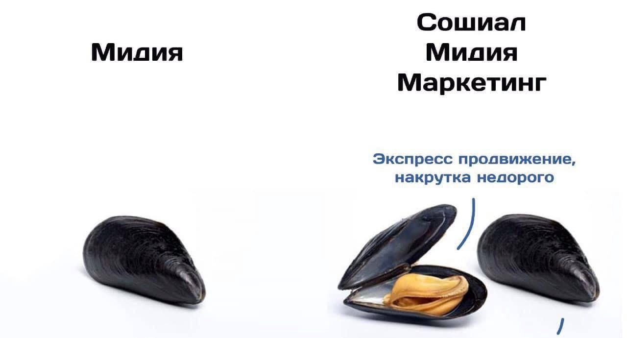 Сошиал Muaua Маркетинг Экспресс продвижение, накрутка недорого