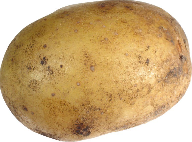 у 44