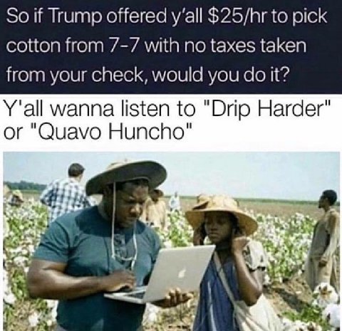 So if Trump offered y’all to pick cotton from with no taxes taken from your check, would you it? и Y'all wanna listen to "Drip Harder or "Оцауо Huncho"