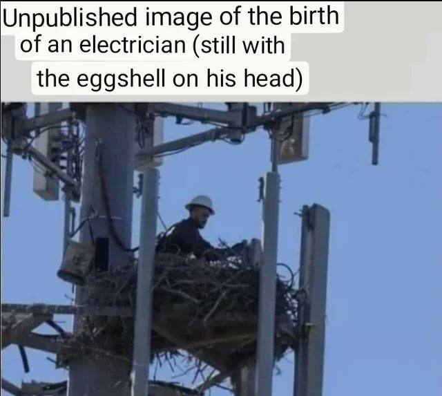 Unpublished image of the birth of an electrician (still with the eggshell on his head)