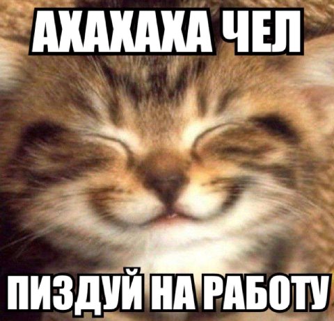 АКАКАКА ЧЕЛ 4 ПИЗДУЙ НА РАБОТУ