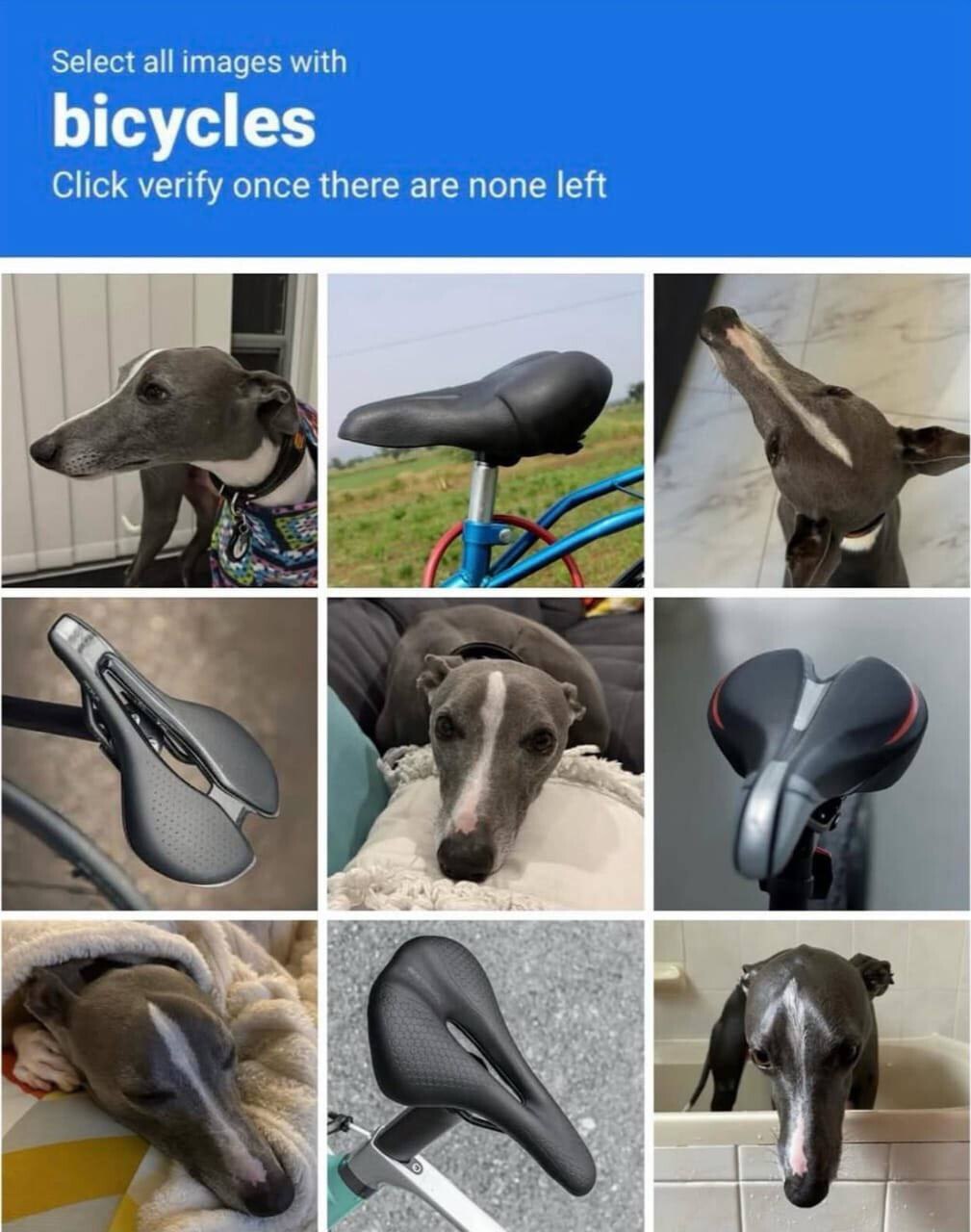 Select all images with bicycles Click verify once there are none left