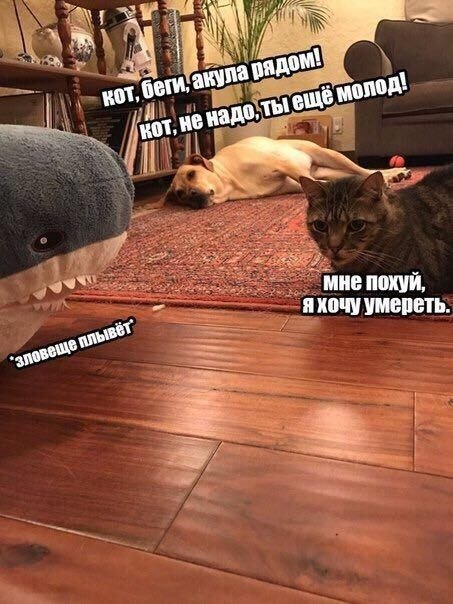 яхочу умереть.