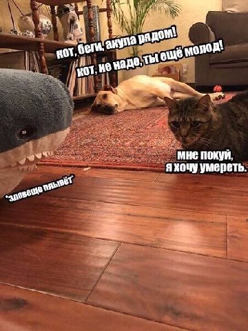 яхочу умереть.