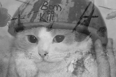 у к. я 4 у 1 2 “4 a 3 5 у. у 5 2 5” 2 3 (a a APES a a 4