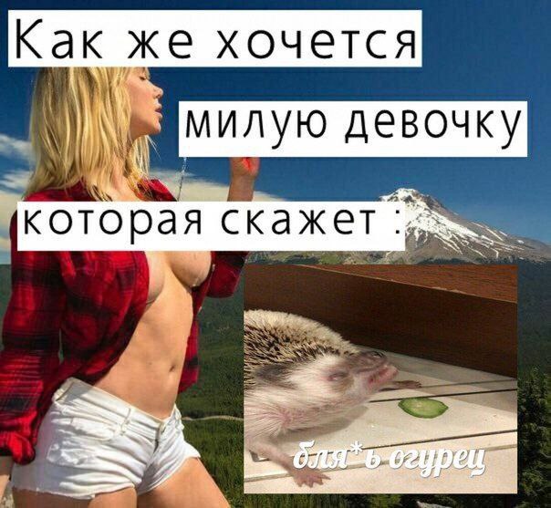 Как же хочется милую девочку {которая скажет