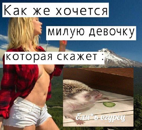 Как же хочется милую девочку {которая скажет