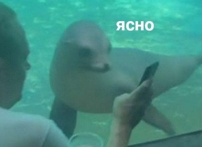 ЯСНО