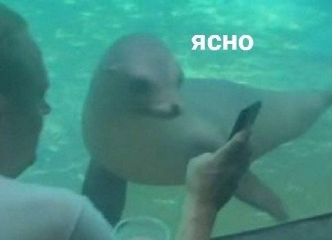 ЯСНО